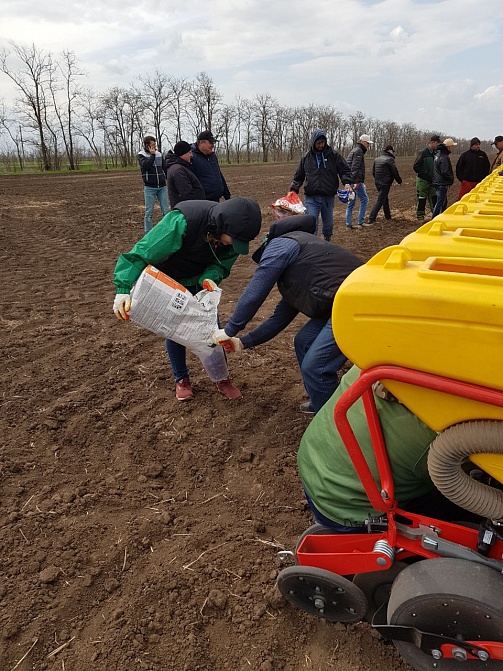 Авангард 2018 - сев